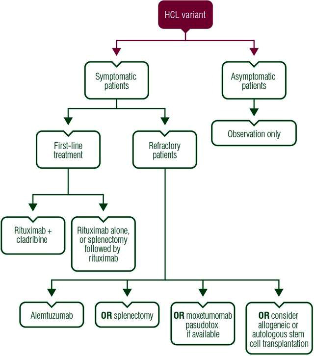 Pathology Outlines Hairy Cell Leukemia Variant 