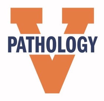 Pathology Outlines Fellowships