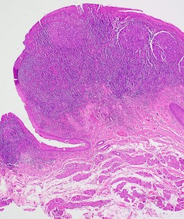 Pathology Outlines - Books