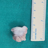 Cartilaginous surface