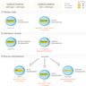 SAMD9 mutations and effect on hematopoiesis