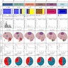 Molecular and clinical characteristics