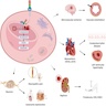 Pathophysiology of Fabry disease