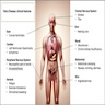 Clinical features of Fabry disease