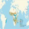 Geographic distribution of schistosomiasis