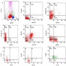 Analysis of bone marrow