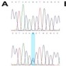 Wild type sequencing