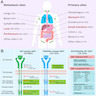 Anatomic and genomic distribution of GIST