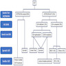 Molecular alterations in GIST