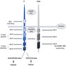 KIT / PDGFRA gain of function mutations