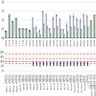  MLPA showing monoallelic deletion in <i>APC</i> coding region