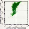 Prominent monotypic pattern (lambda, with minimal kappa)