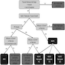 Suggested diagnostic algorithm